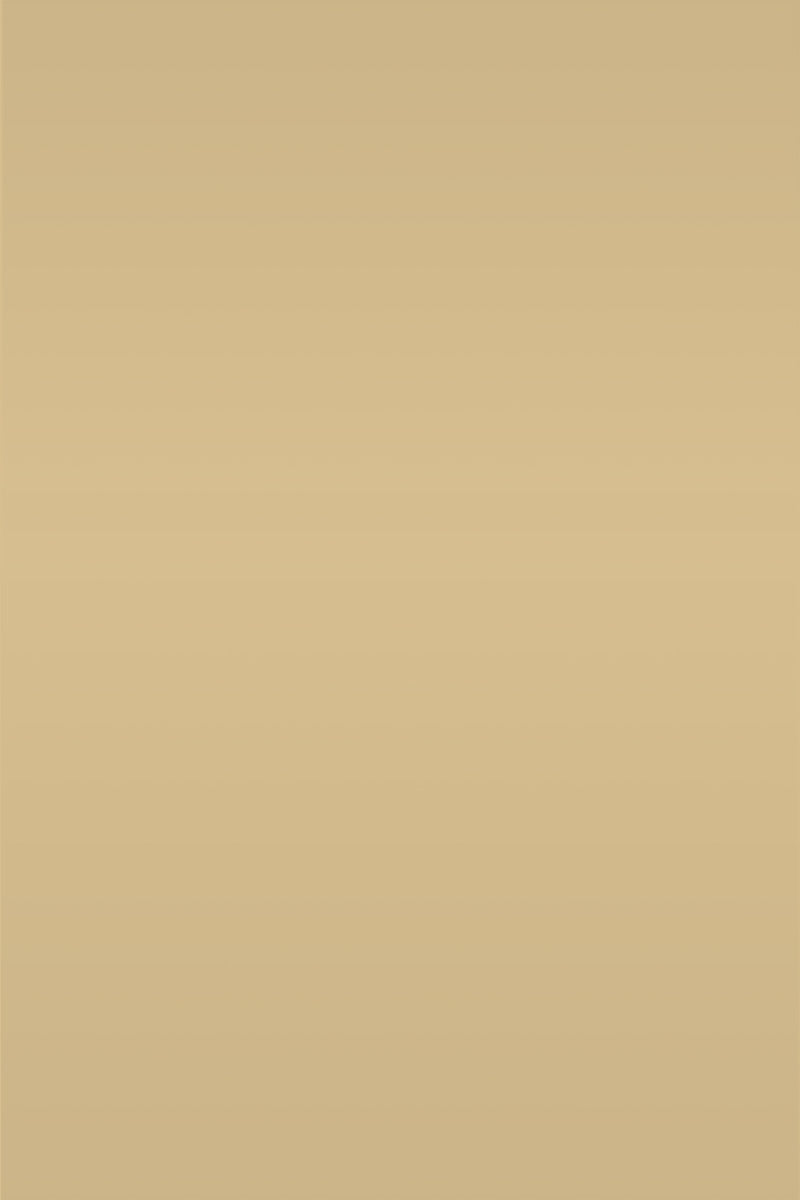 Isla Porter's "Bees Knees" paint color swatch sample