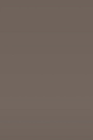 Isla Porter's "Brunette" paint color swatch sample