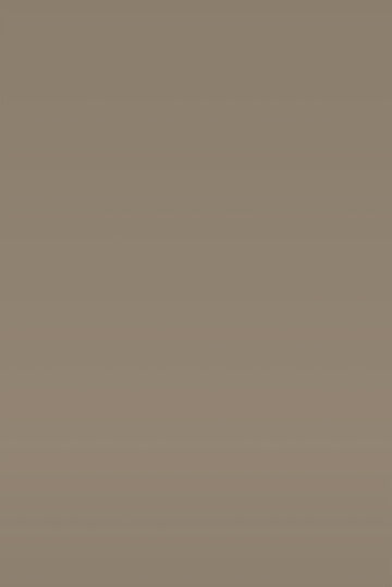 Isla Porter's "Business Casual" paint color swatch sample
