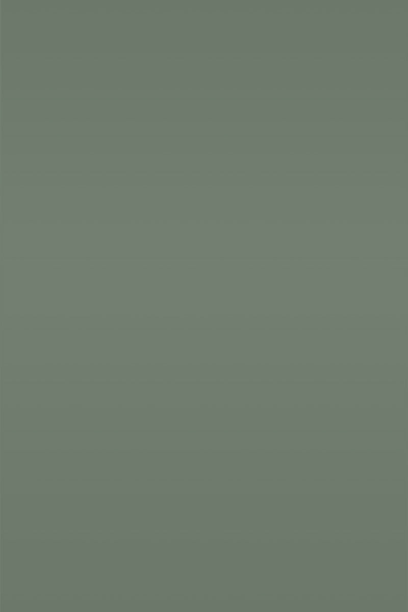 Isla Porter's "Cash" paint color swatch sample