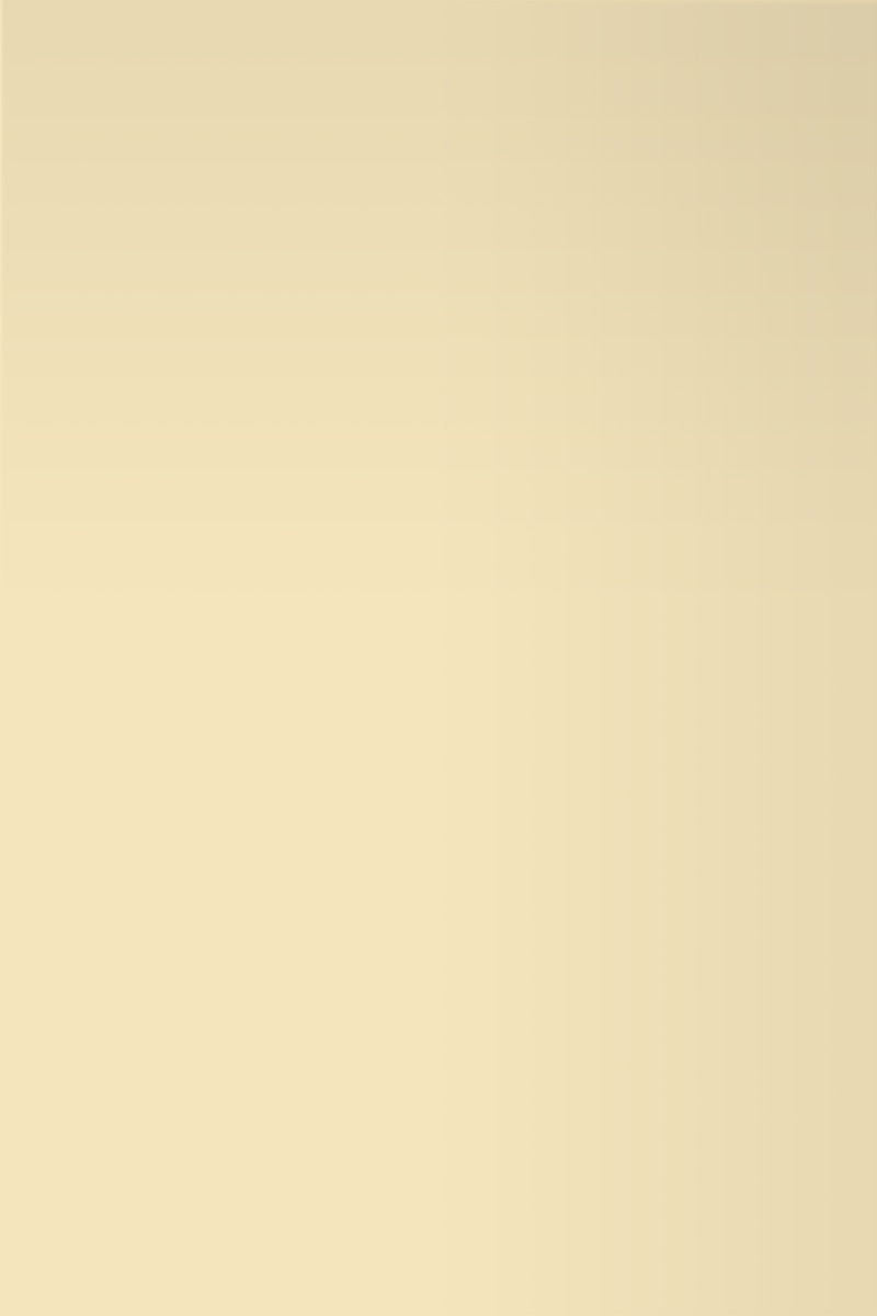 Isla Porter's "Champagne Taste" paint color swatch sample