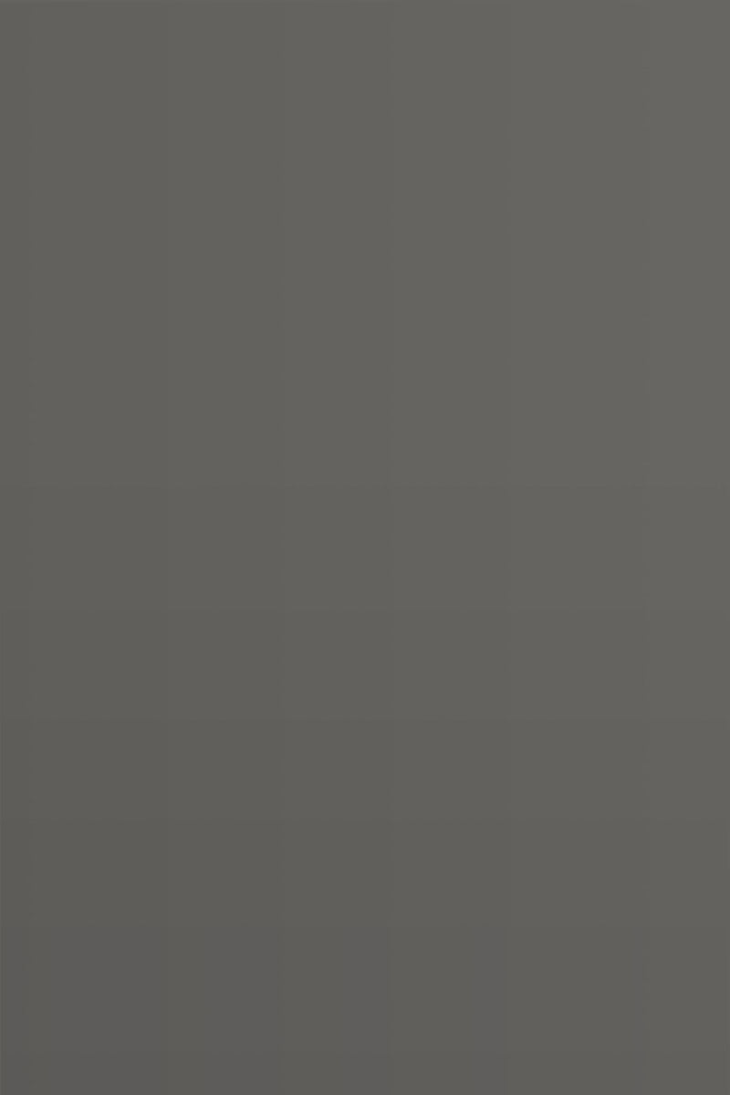 Isla Porter's "City Pigeon" paint color swatch sample