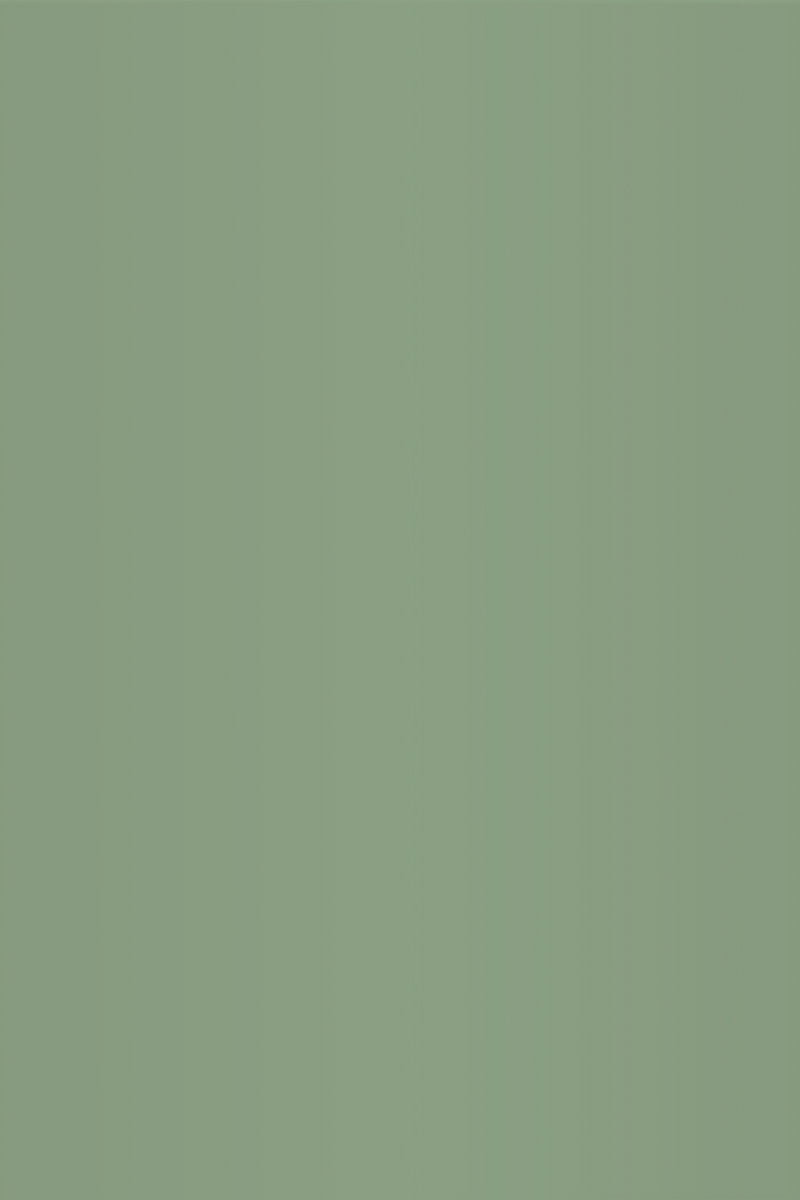 Isla Porter's "Envious" paint color swatch sample