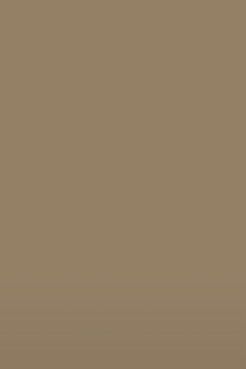 Isla Porter's "Golden Doodle" paint color swatch sample