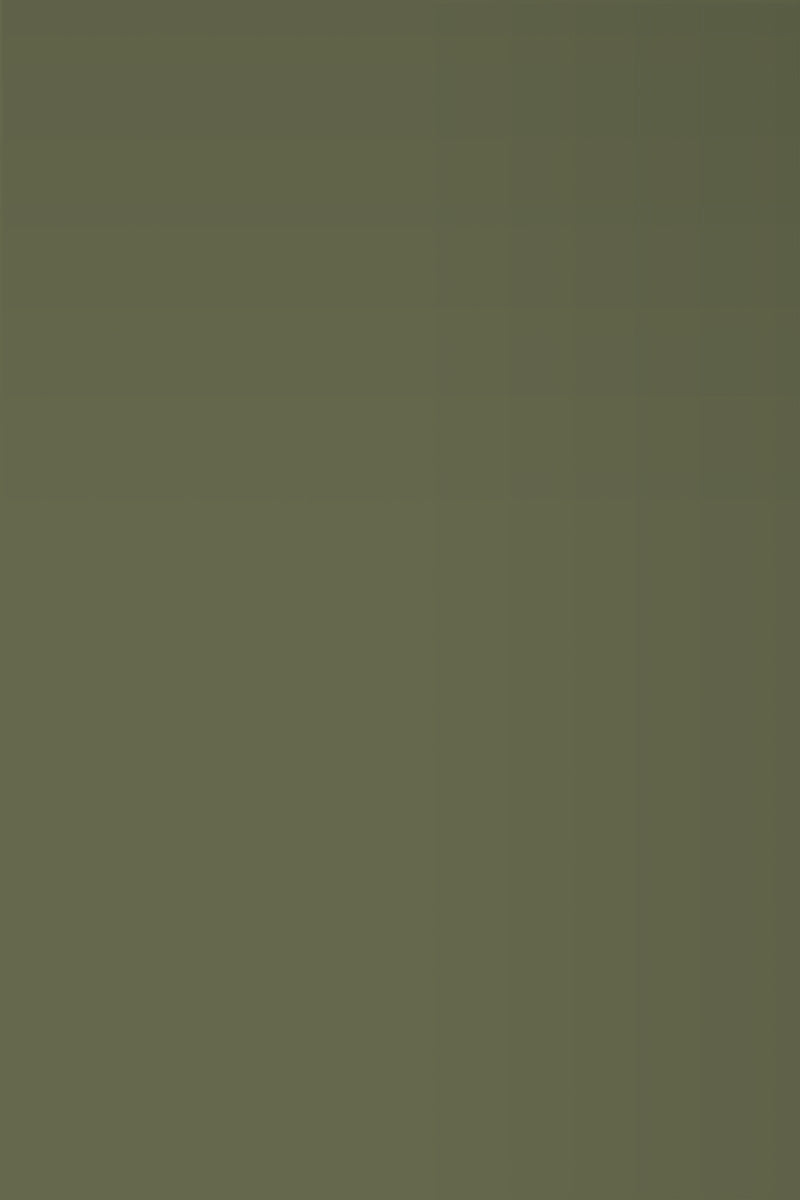 Isla Porter's "Kale Caesar" paint color swatch sample