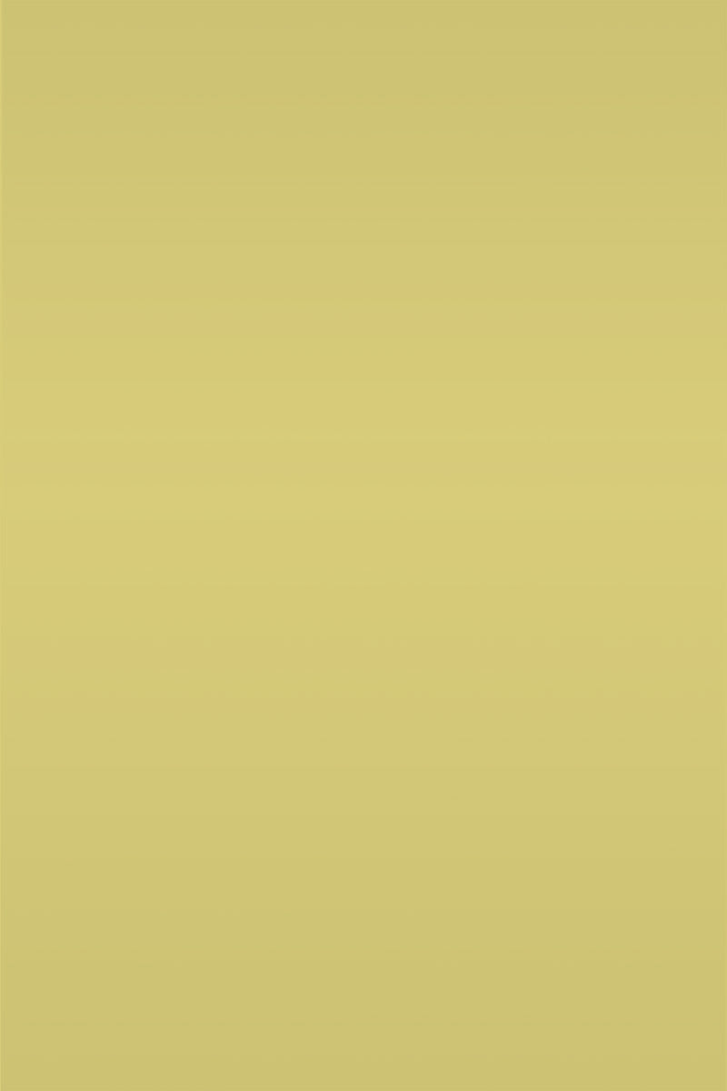 Isla Porter's "Rays" paint color swatch sample