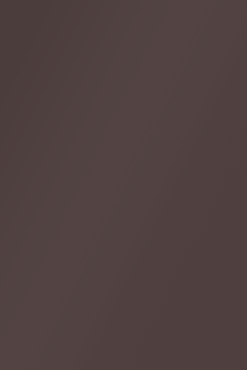Isla Porter's "Rizz" paint color swatch sample