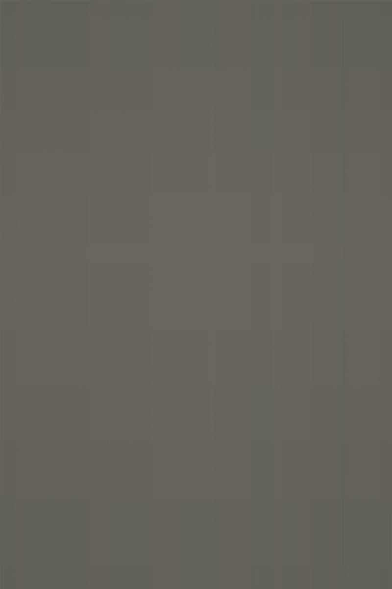 Isla Porter's "Shade" paint color swatch sample