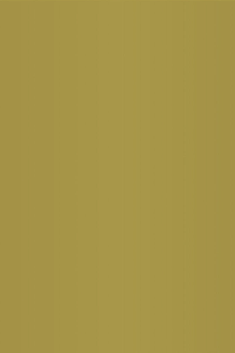 Isla Porter's "Shag Rug" paint color swatch sample