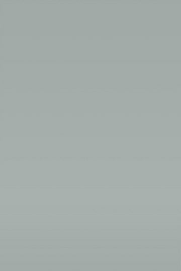 Isla Porter's "Silver Fox" paint color swatch sample