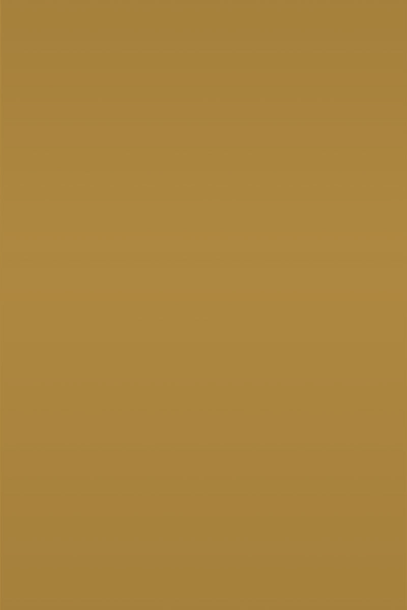 Isla Porter's "Summer Lawn" paint color swatch sample