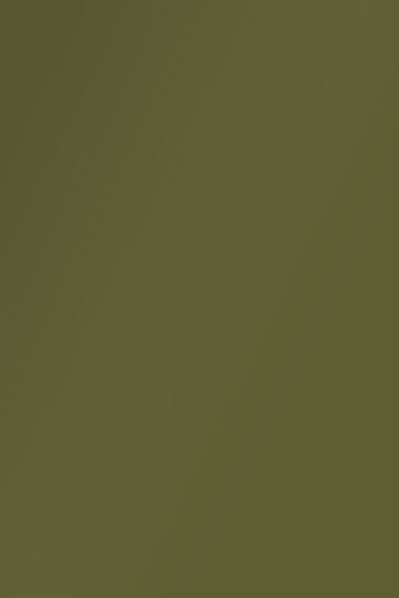 Isla Porter's "The Fairway" paint color swatch sample